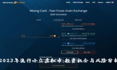 2023年流行小众虚拟币：投资机会与风险分析
