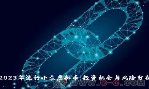 2023年流行小众虚拟币：投资机会与风险分析