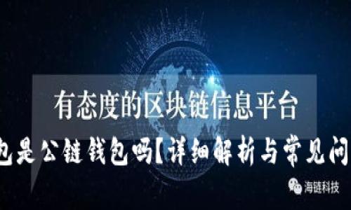 t p钱包是公链钱包吗？详细解析与常见问题解答