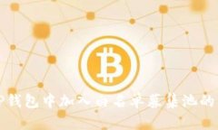 如何在TP钱包中加入白名单募集池的详细指南