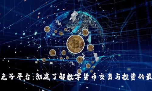 虚拟币兔子平台：彻底了解数字货币交易与投资的最佳选择