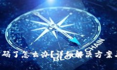  TP钱包忘记密码了怎么办？详细解决方案与常见