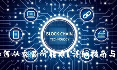 TP钱包如何从交易所转币？详细指南与步骤解析