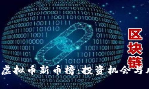 2023年虚拟币新币榜：投资机会与风险分析