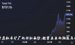 揭开虚拟币矿厂的神秘面纱：投资未来的潮流与
