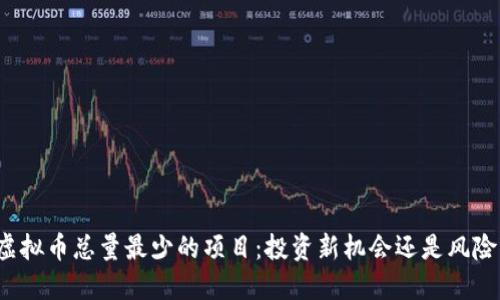 揭秘虚拟币总量最少的项目：投资新机会还是风险陷阱？