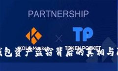 揭秘TP钱包资产盗窃背后的真相与防范措施