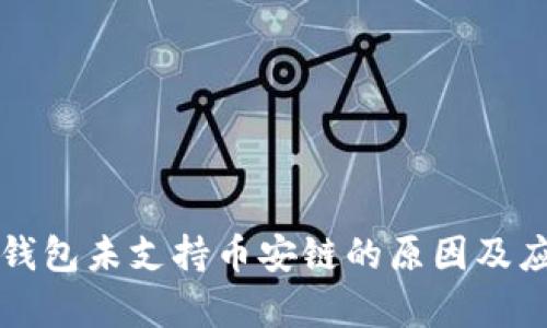 解析TP钱包未支持币安链的原因及应对策略