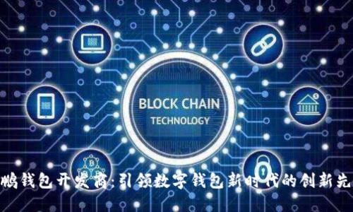腾鹏钱包开发商：引领数字钱包新时代的创新先锋