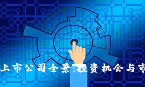 美国虚拟币上市公司全景：投资机会与市场前景分析