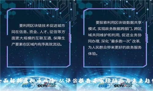 全面解析虚拟币风险：从评估报告看市场动态与未来趋势