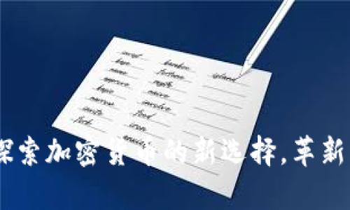 奈斯虚拟币：探索加密货币的新选择，革新您的投资策略