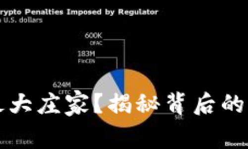 谁是虚拟币市场的最大庄家？揭秘背后的操盘手与市场影响力