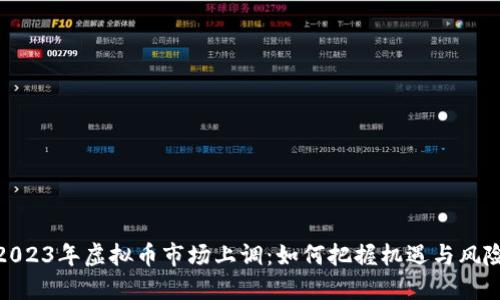 2023年虚拟币市场上调：如何把握机遇与风险