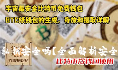 TP钱包生成的私钥安全吗？全面解析安全性与保护措施