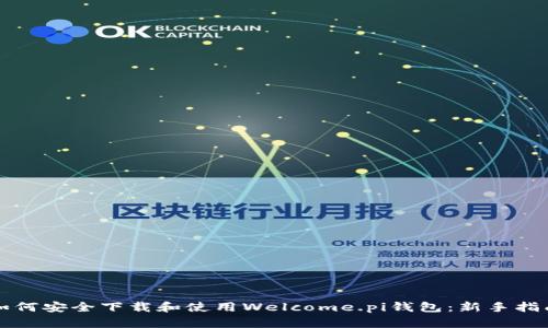 如何安全下载和使用Welcome.pi钱包：新手指南