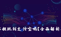 TP钱包可以提现到支付宝吗？全面解析及操作指南