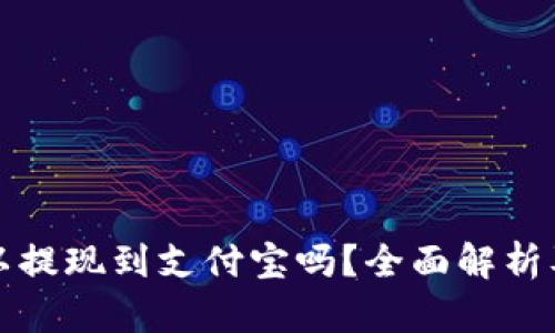 TP钱包可以提现到支付宝吗？全面解析及操作指南