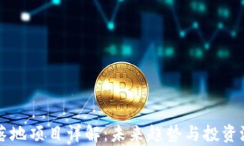 
虚拟币落地项目详解：未来趋势与投资潜力分析