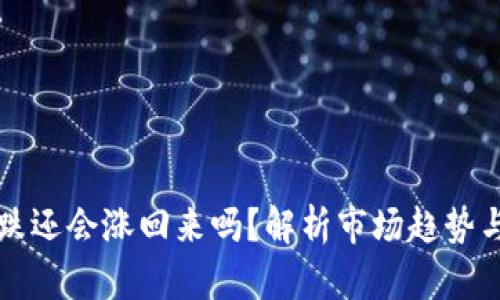 虚拟币暴跌还会涨回来吗？解析市场趋势与投资策略