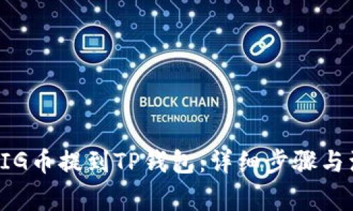 如何将BIG币提到TP钱包：详细步骤与注意事项