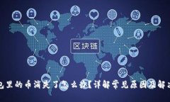 TP钱包里的币消失了怎么办？详解常见原因及解决